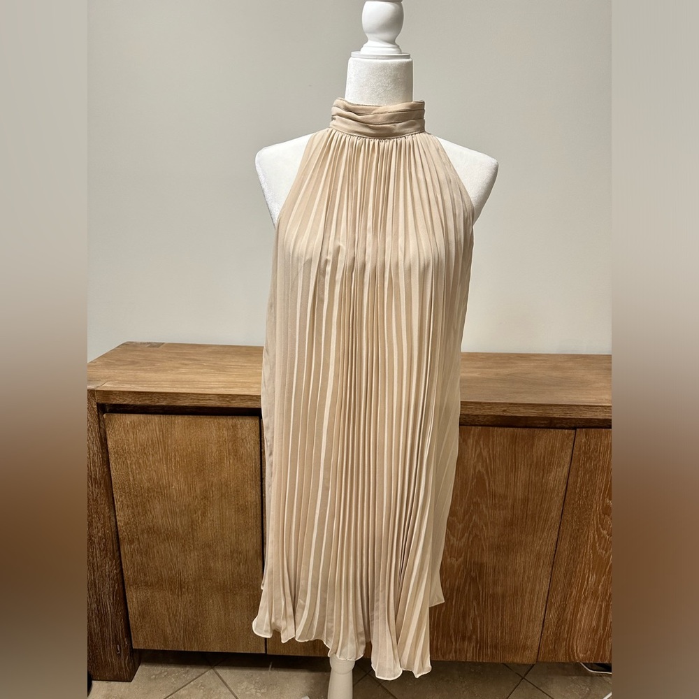 Beautiful Zara dress, never worn.